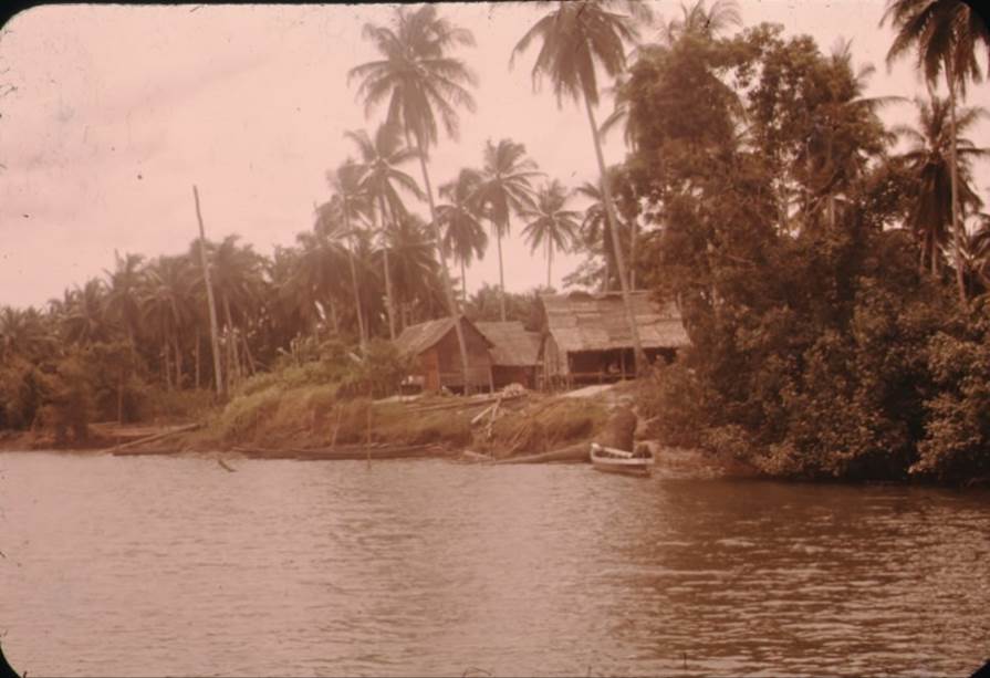 A picture containing outdoor, tree, water, shore

Description automatically generated
